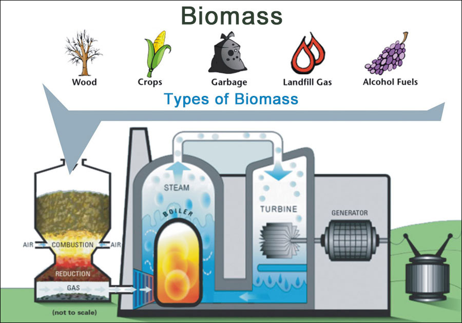 Biomass